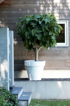 Elho Pure Blumentopf weiß D 40 cm