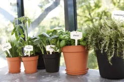 Elho Untersetzer green basics terracotta D 17 H 2,3 cm