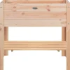 Esschert Design Anzuchtbeet hoch Holz 80 x 37,6 x 78 cm