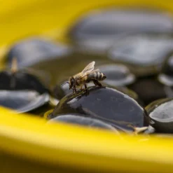 Esschert Design Trinkschale für Bienen und Schmetterlinge gelb D 27 H 8 cm