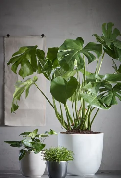 Everydays by Intratuin Blumentopf D 31 cm H 28,5 cm matt weiß