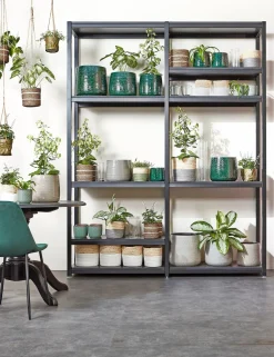 Everydays by Intratuin Pflanzkorb Celestial naturell / weiß D 6,5 H 6,5 cm