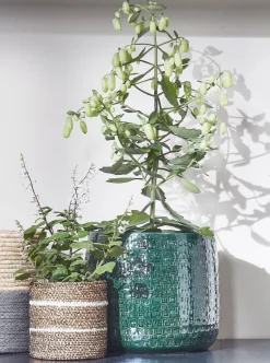 Everydays by Intratuin Pflanzkorb Celestial weiß D 9,5 H 9,5 cm