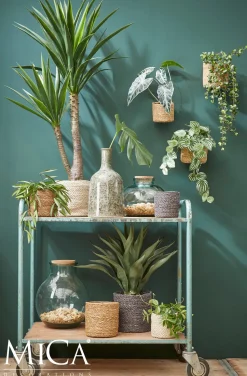 Everydays by Intratuin Pflanzkorb Atlantic Natur D 14 cm H 14 cm