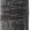 Everydays by Intratuin tafelkaars Rustic schwarz 10 Std. D 2 H 25 cm