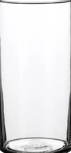 Everydays by Intratuin Vase Carly transparent D 12 H 25 cm