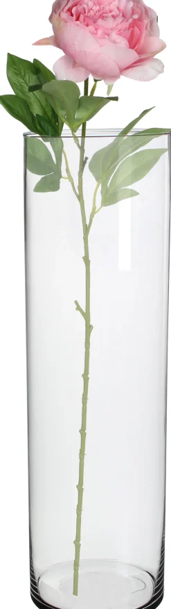 Everydays by Intratuin Vase Zylinder Cilla Glas D 15 cm H 50 cm