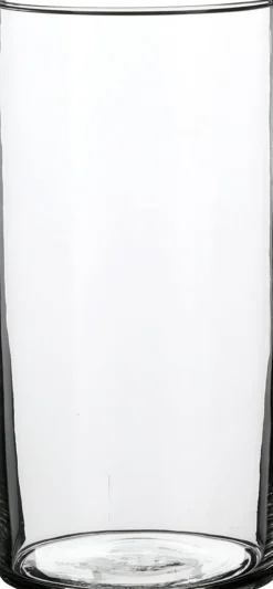 Everydays by Intratuin Vase Carly transparent D 12 cm H 25 cm