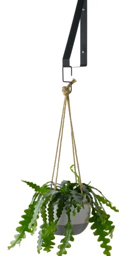 Everydays by Intratuin Wandhaken schwarz 23,5 x 2,5 x 26 cm