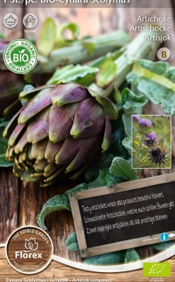 Florex Bio Artischocke (Cynara scolymus) Samen