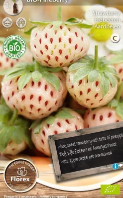 Florex Bio Erdbeere weiß (Fragaria 'Pineberry') Samen