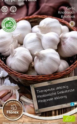 Florex Bio Knoblauch (Allium 'Flavor') Samen