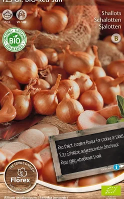 Florex Bio Schalotten (Allium 'Red Sun') Samen 125 g