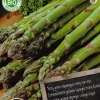 Florex Bio Spargel (Asparagus 'Vitalim') Samen