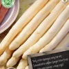 Florex Bio Spargel (Asparagus 'Vegalim') Samen