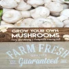 Florex Farm Fresh Champignon Anzucht-Set