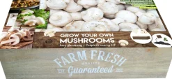 Florex Farm Fresh Champignon Anzucht-Set