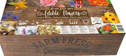 Florex Farm Fresh Essbare Blüten Anzucht-Set