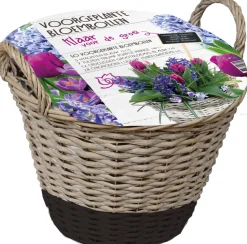 Florex Korb mit 50 Blumenzwiebeln (vorgepflanzt) schwarz