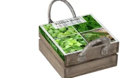 Florex Kräutersamen Box mit 4 Küchenkräutern 18 x 19,5 x 9 cm