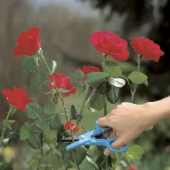 Gardena Multifunktionale Blumenschere