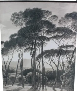 HD Collection Stoffbild Velvet schwarz-weiß 140 x 170 cm