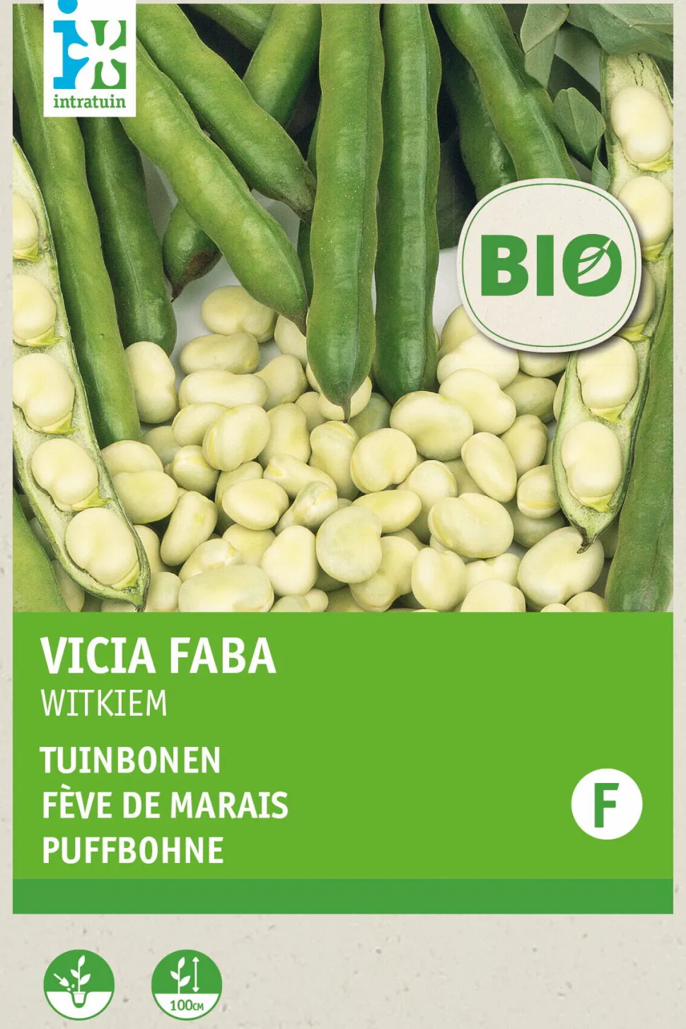 Intratuin Ackerbohne (Vicia faba 'Weißkeimling') (BIO) Samen
