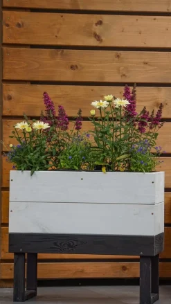 Intratuin Anzuchtkasten Dubba hoch grau/weiß 61 x 33 x 54 cm