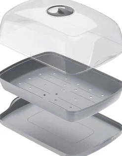 Intratuin Anzuchtkasten mit Deckel grau 39,1 x 25,7 x 18,5 cm