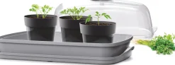 Intratuin Anzuchtkasten mit Deckel grau 39,1 x 25,7 x 18,5 cm