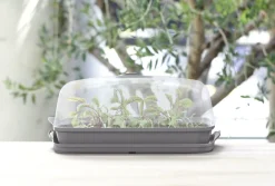 Intratuin Anzuchtkasten mit Deckel grau 39,1 x 25,7 x 18,5 cm