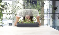 Intratuin Anzuchtkasten mit Deckel grau 39,1 x 25,7 x 18,5 cm