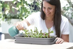 Intratuin Anzuchtkasten mit Deckel grau 39,1 x 25,7 x 18,5 cm