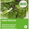 Intratuin Asiatischer Mesclun (BIO) Samen