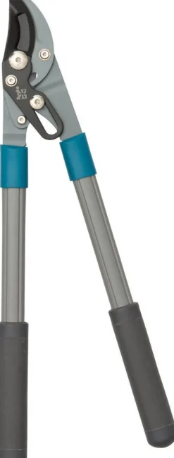 Intratuin Astschere grau/schwarz