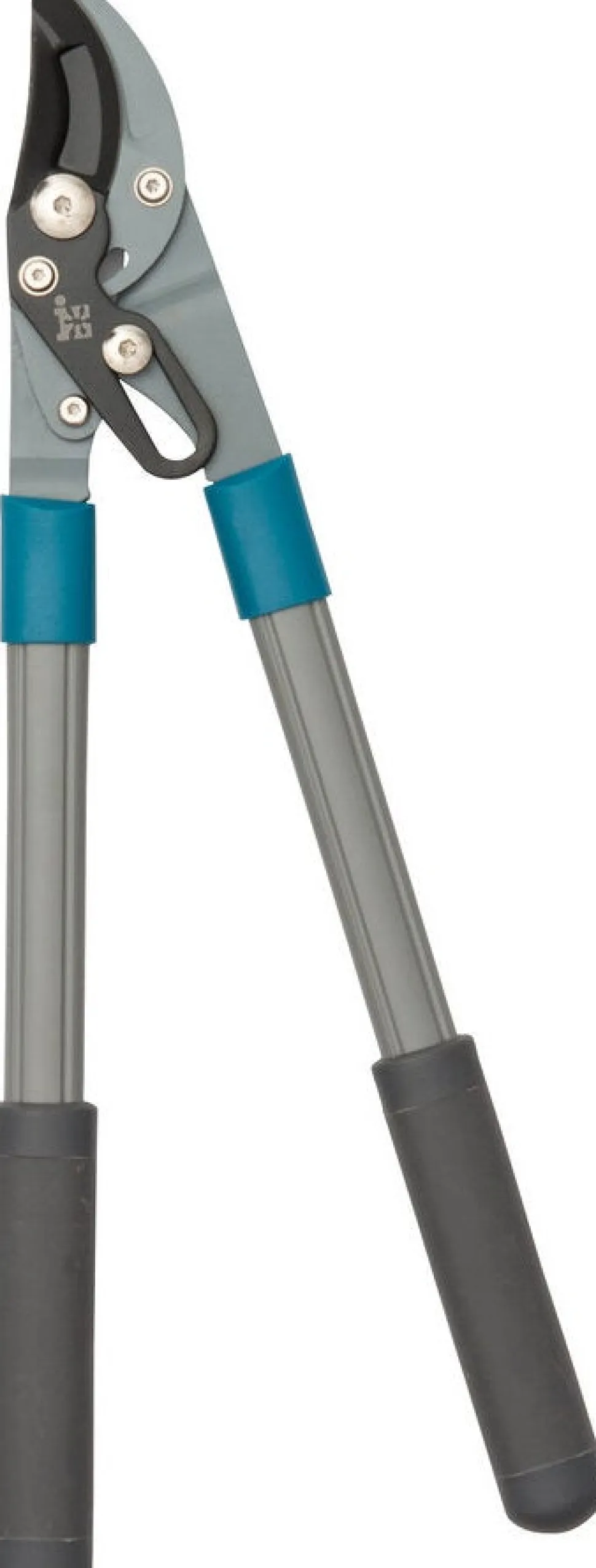 Intratuin Astschere grau/schwarz