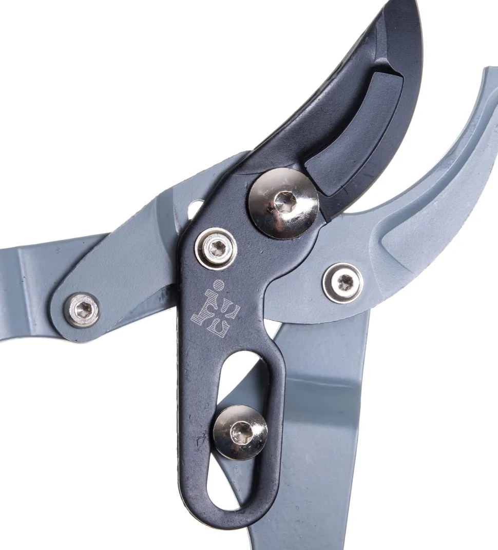 Intratuin Astschere grau/schwarz