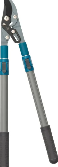 Intratuin Astschere verstellbar blau/grau