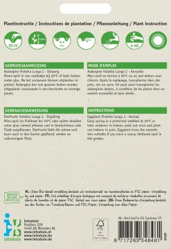 Intratuin Aubergine (Solanum melongena 'Violetta Lunga 2') Samen