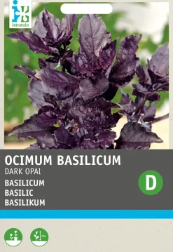 Intratuin Basilikum violett (Ocimum basilicum 'Dark Opal') Samen