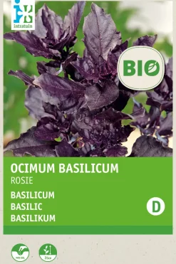 Intratuin Basilikum violett (Ocimum basilicum 'Rosie') (BIO) Samen