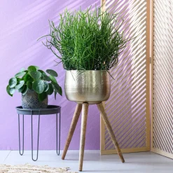 Intratuin Beistelltisch Tray schwarz D 32 cm H 34 cm