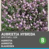 Intratuin Blaukissen lila (Aubrietia hybrida 'Whitewell') Blumensamen
