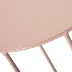 Intratuin Blumenständer Myrica rosa D 21 H 57 cm