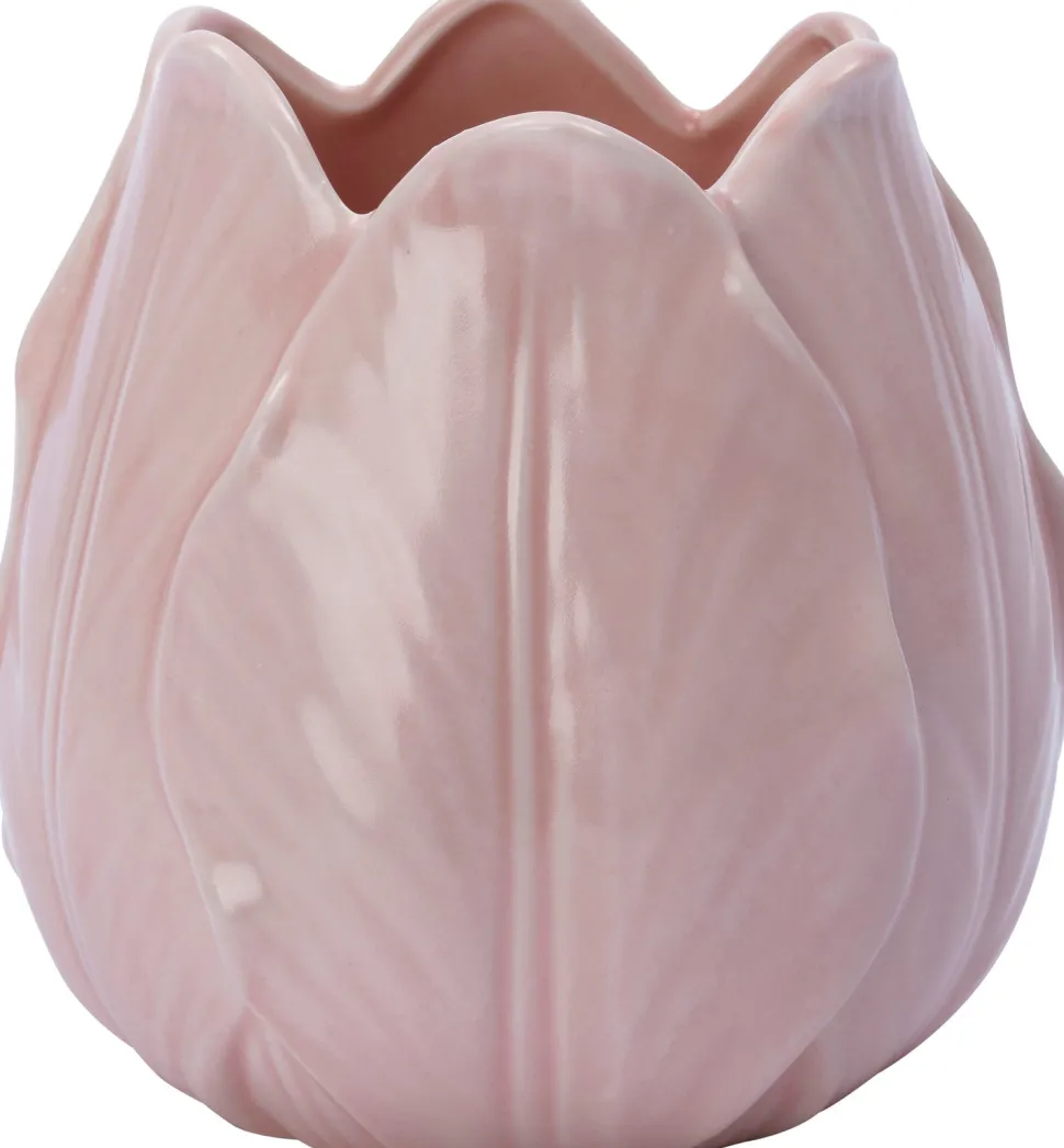 Intratuin Blumentopf Bjorn rosa D 14 H 13,5 cm