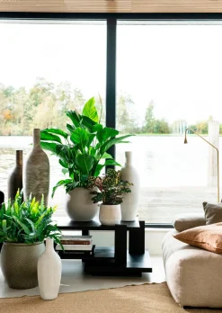 Intratuin Blumentopf Firenze grün D 48 H 48 cm