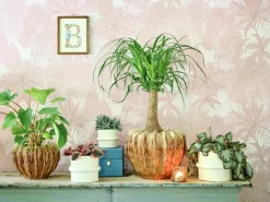 Intratuin Blumentopf Helle creme D 19,5 H 15,5 cm