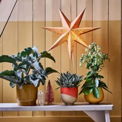 Intratuin Blumentopf Jade rot D 16,5 H 16,5 cm