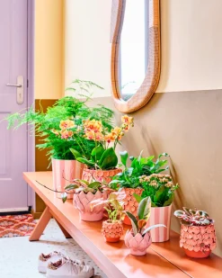 Intratuin Blumentopf Julian rosa D 22 H 20 cm