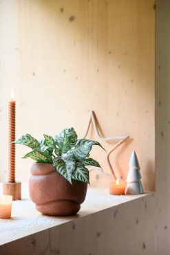 Intratuin Blumentopf Lilo terracotta D 17,5 H 16 cm